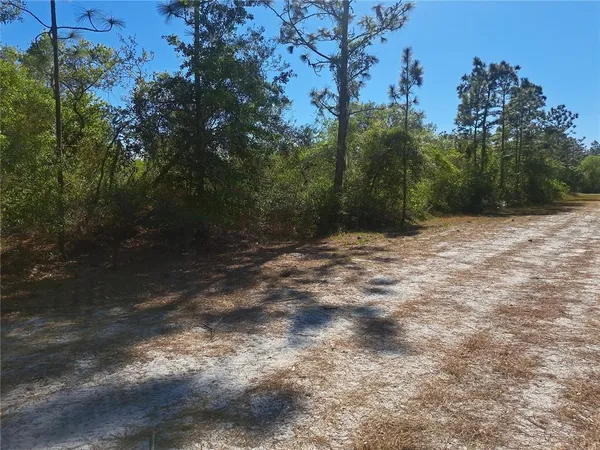 $93,000 | 20 Avocado Drive, Indian Lake Estates, FL 33843