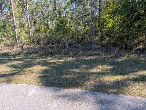 $93,000 | 20 Avocado Drive, Indian Lake Estates, FL 33843