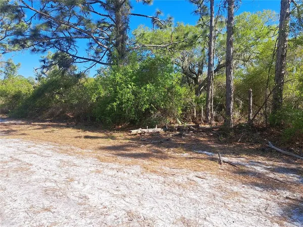 $93,000 | 20 Avocado Drive, Indian Lake Estates, FL 33843