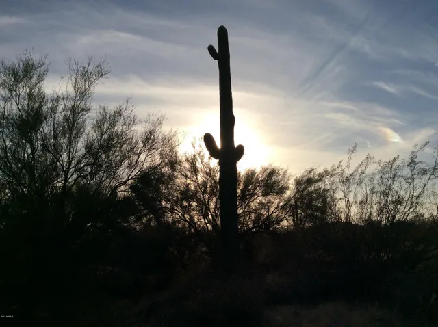a view of a yard in front of the house