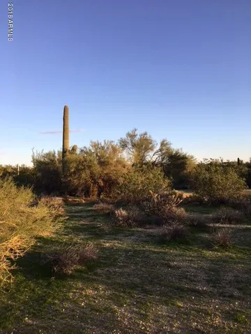 a view of a lake with a mountain
