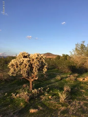 a view of a lake with a mountain in the background