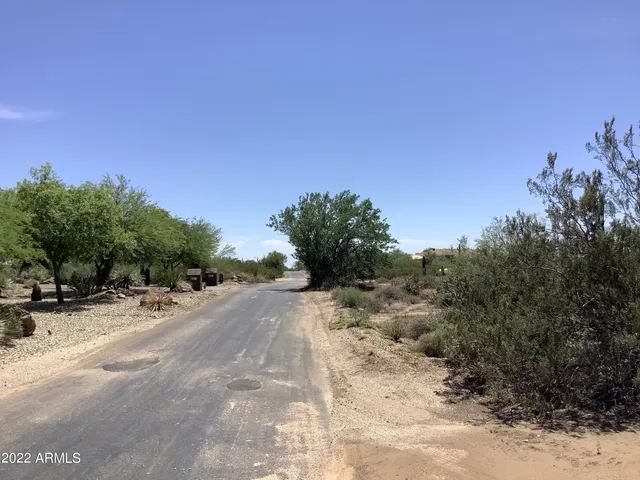 a view of a dry yard with trees