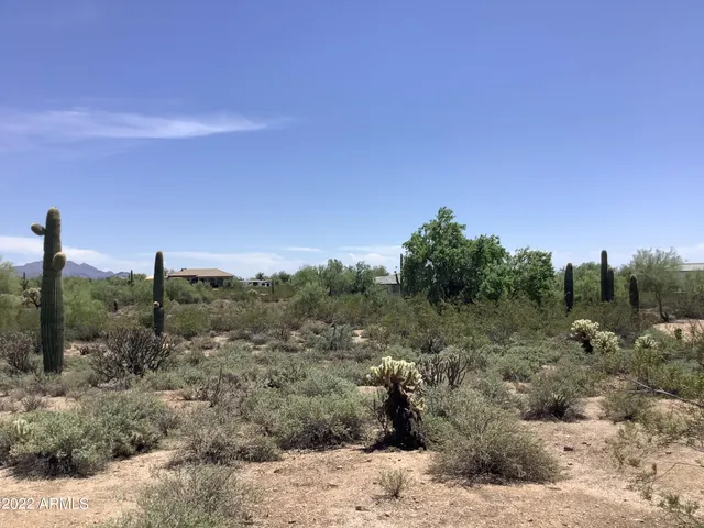 a view of a dry yard with trees in the background