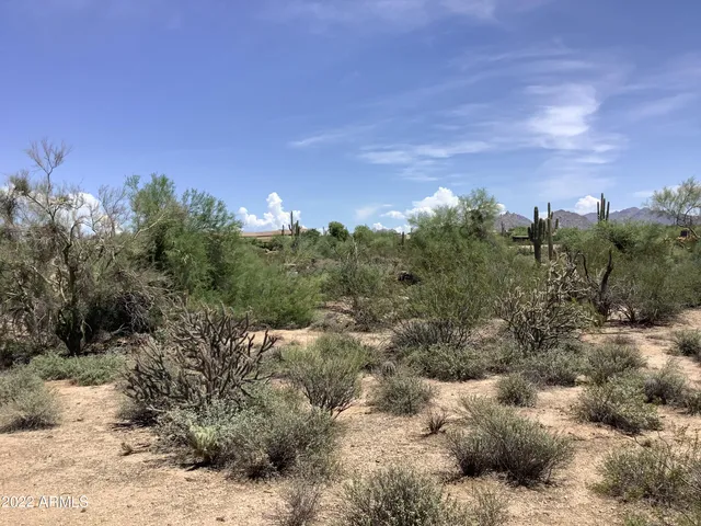 a view of a city with lush green forest