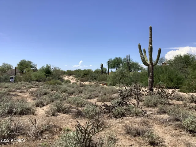 a view of a house with a mountain in the background