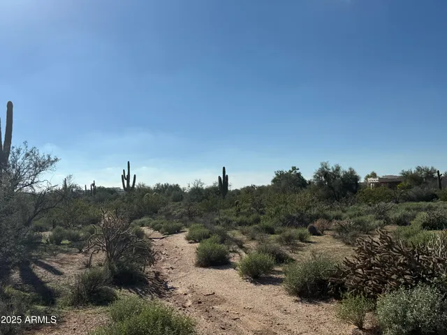 a view of a covered with trees in a background