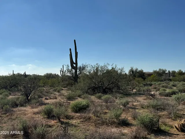 a view of a city with lush green forest