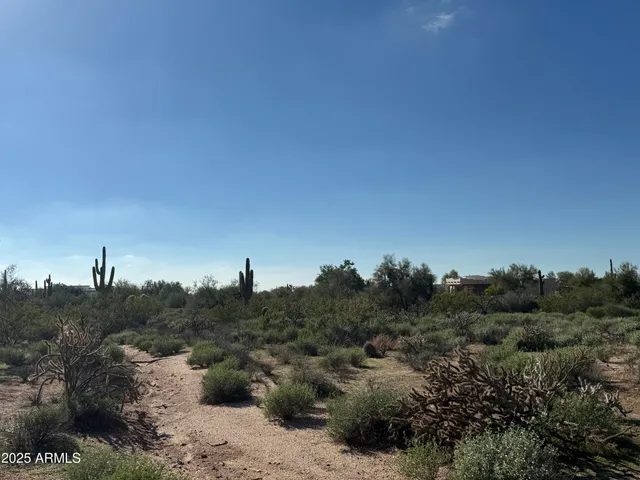 a view of a covered with trees in a background