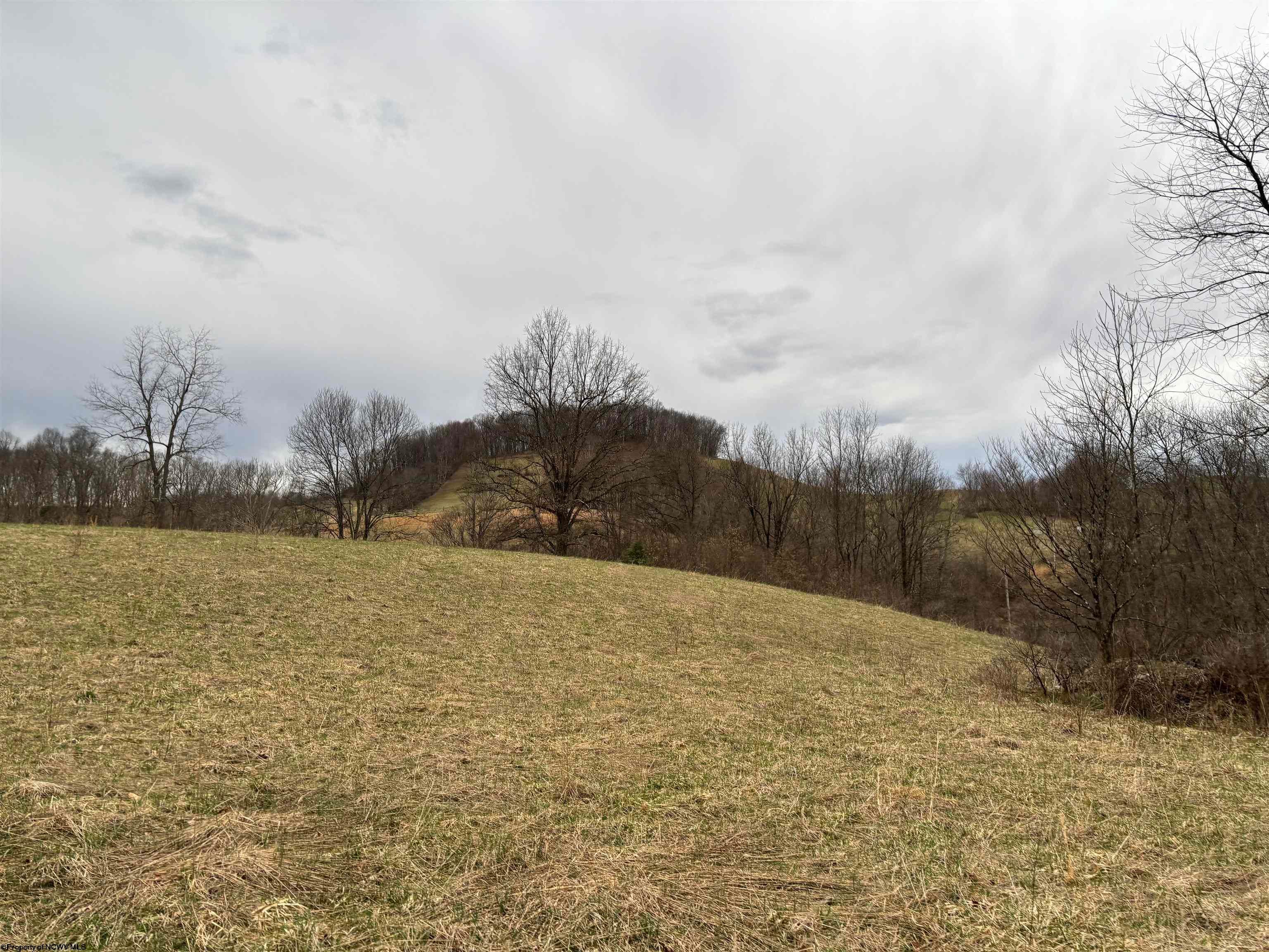 838 Charlie Phillips Road Montrose, WV 26283 - Photo 7 of 11 Gallery Image 7