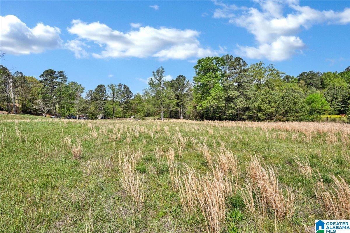 Jones Road Dora, AL 35062 - Photo 5 of 11 Gallery Image 5