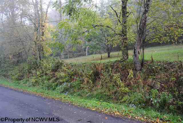 Lot 2 Hunters Fork Road Belington, WV 26250 - Photo 2 of 5 Gallery Image 2