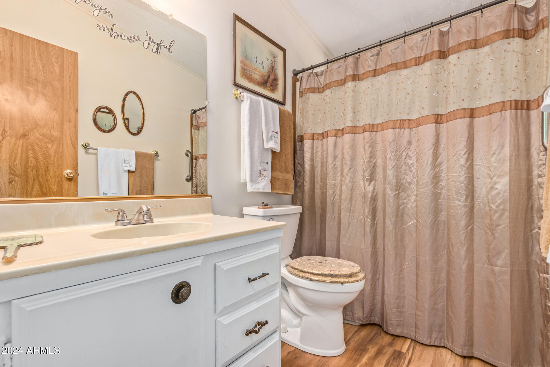 3500 South Tomahawk Road, Unit 195 Apache Junction, AZ 85119 - Photo 16 of 40 Hall Bath