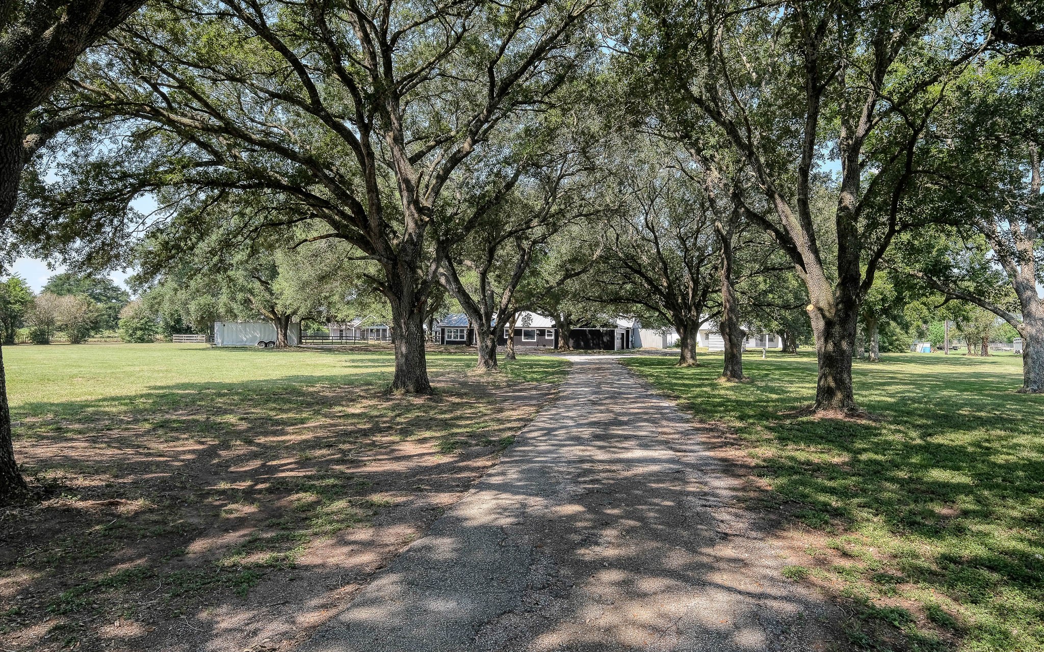 20515 Kickapoo Road Waller, TX 77484 - Photo 29 of 50 a view of outdoor space with trees