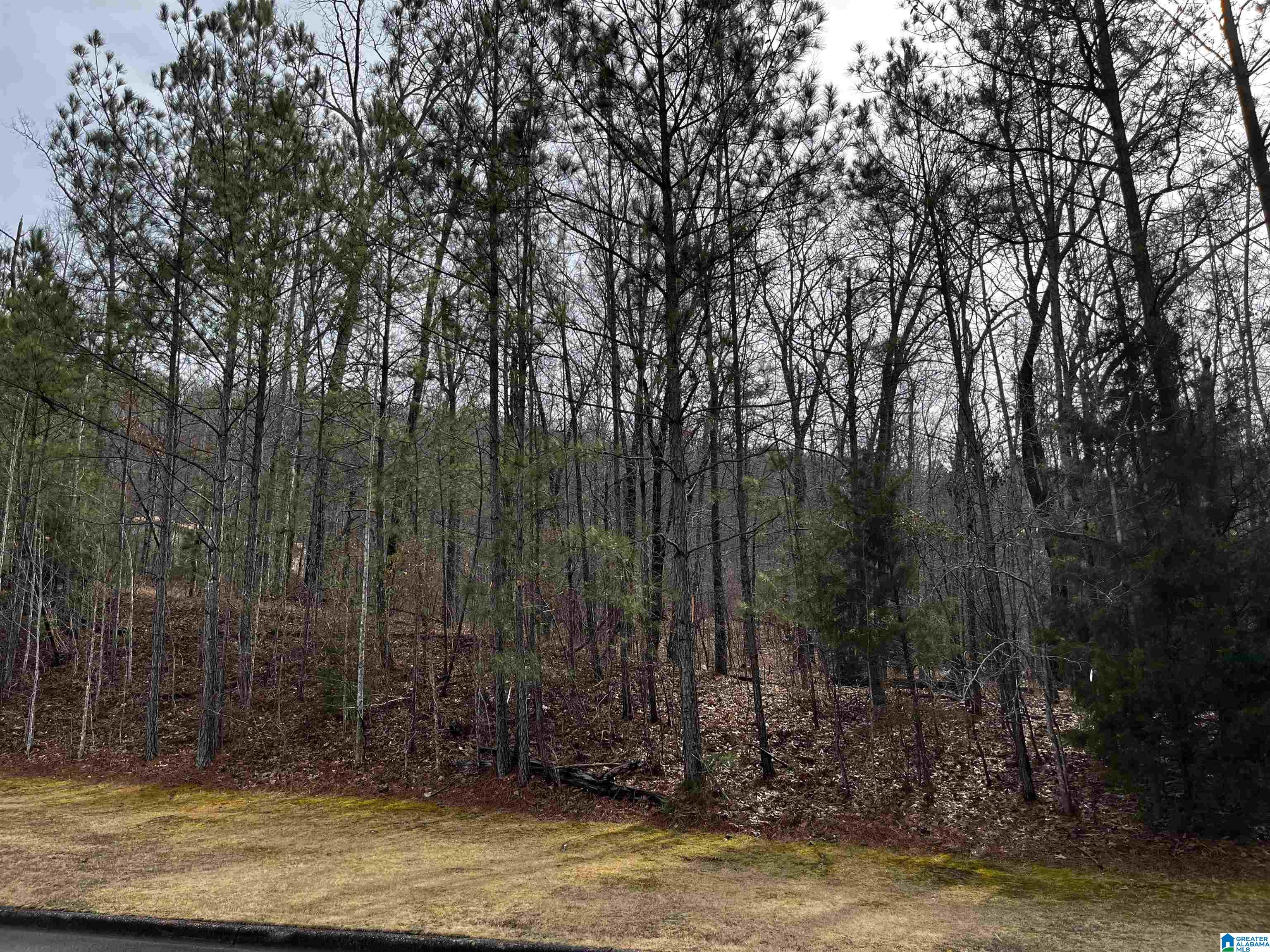 7011 Montrose Road, Unit 6 Birmingham, AL 35242 - Photo 8 of 9