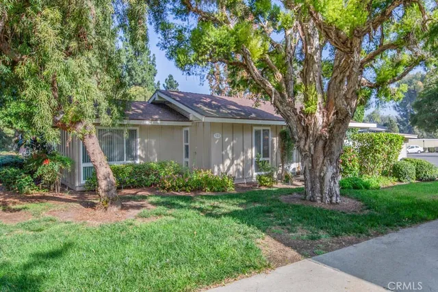 a house with a tree in front of it