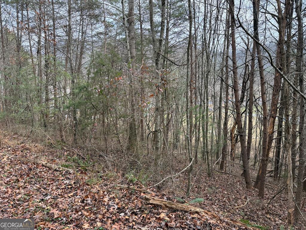 Lot 29 Ideal Acres Road Otto, NC 28763 - Photo 5 of 12 a view of a yard with lots of trees