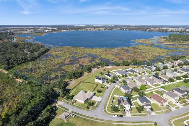 a view of a forest with a lake