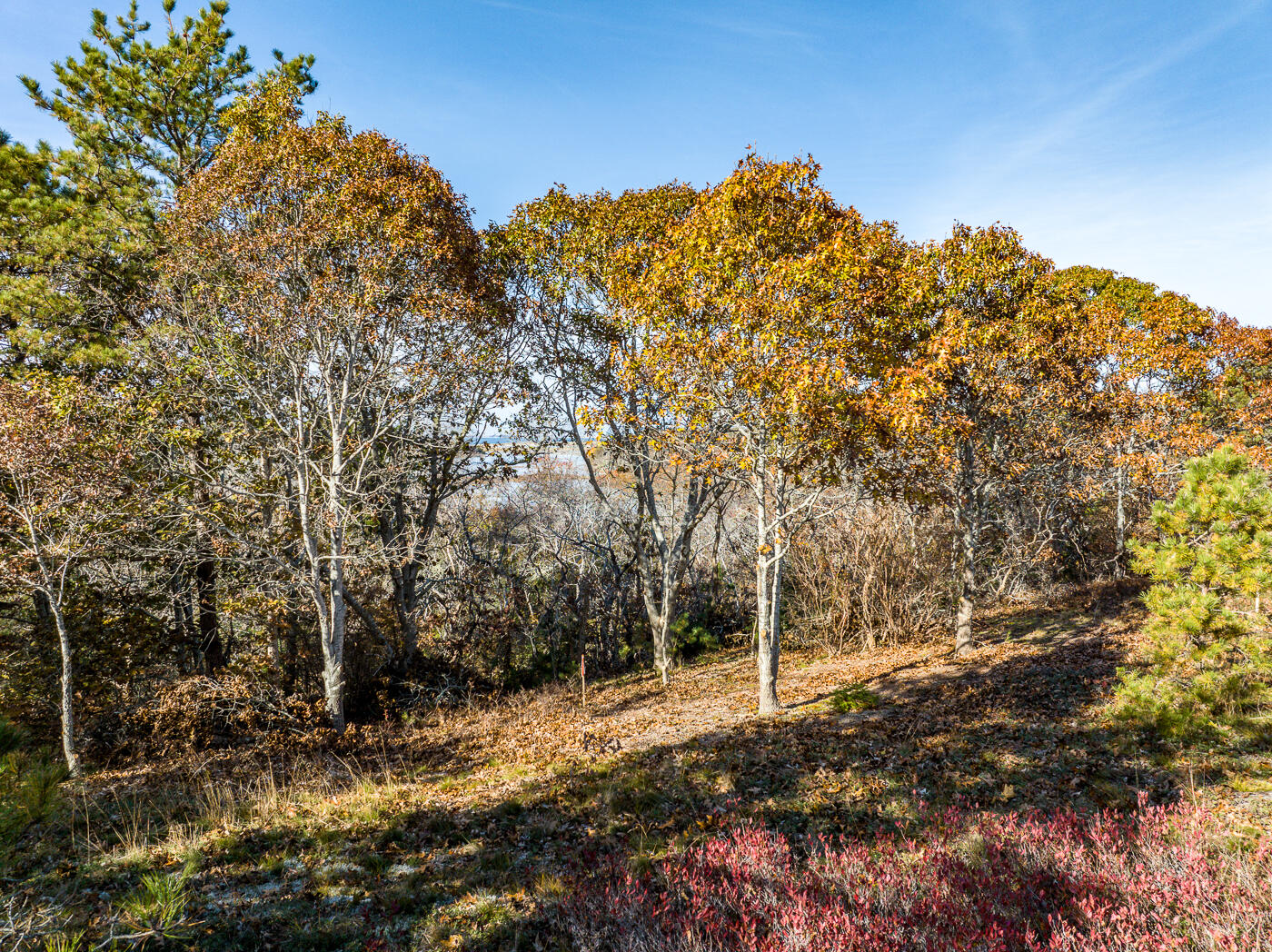 43 Old County Road Truro, MA 02666 - Photo 6 of 7 drone6