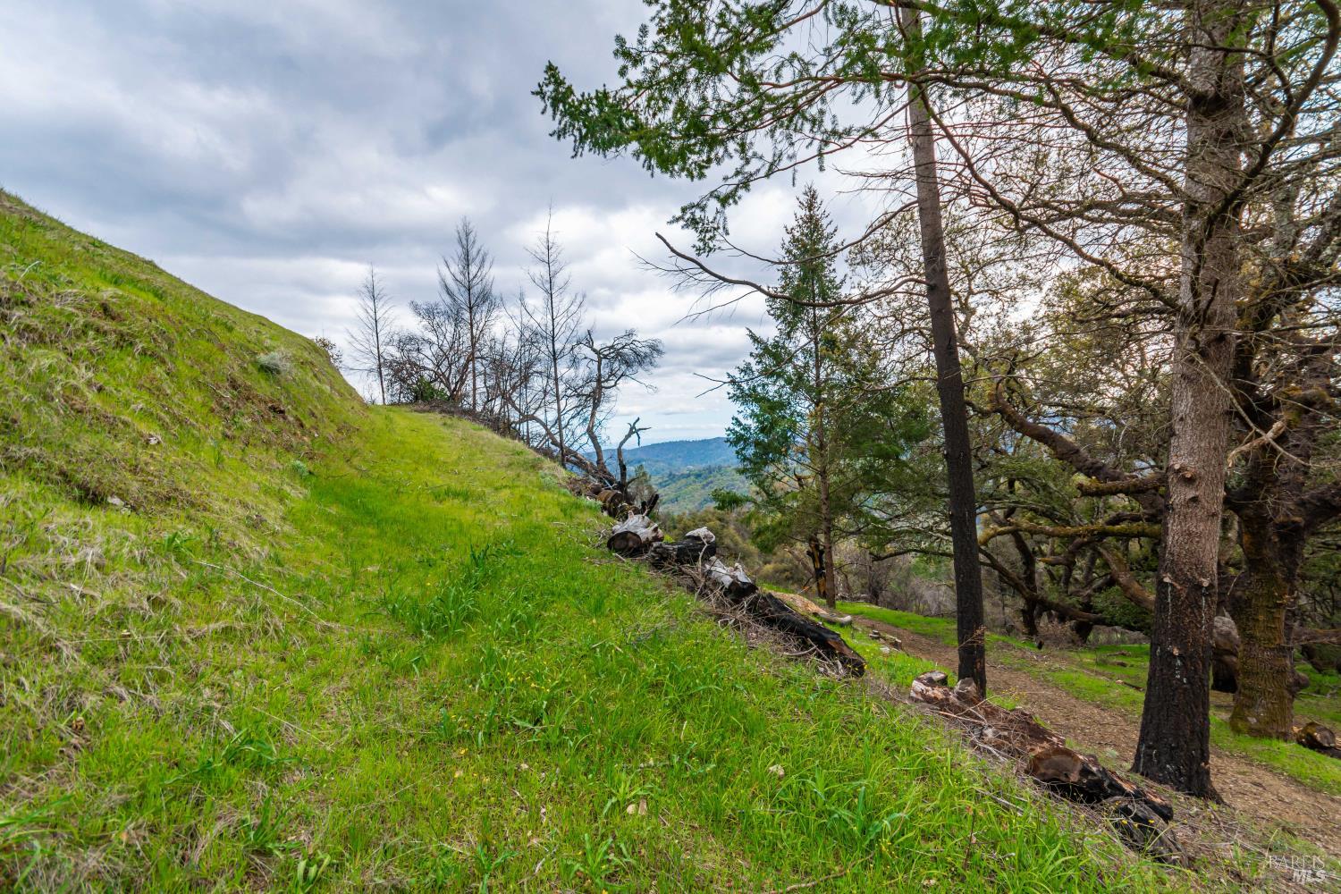 1401 Big Ridge Road Healdsburg, CA 95448 - Photo 70 of 86