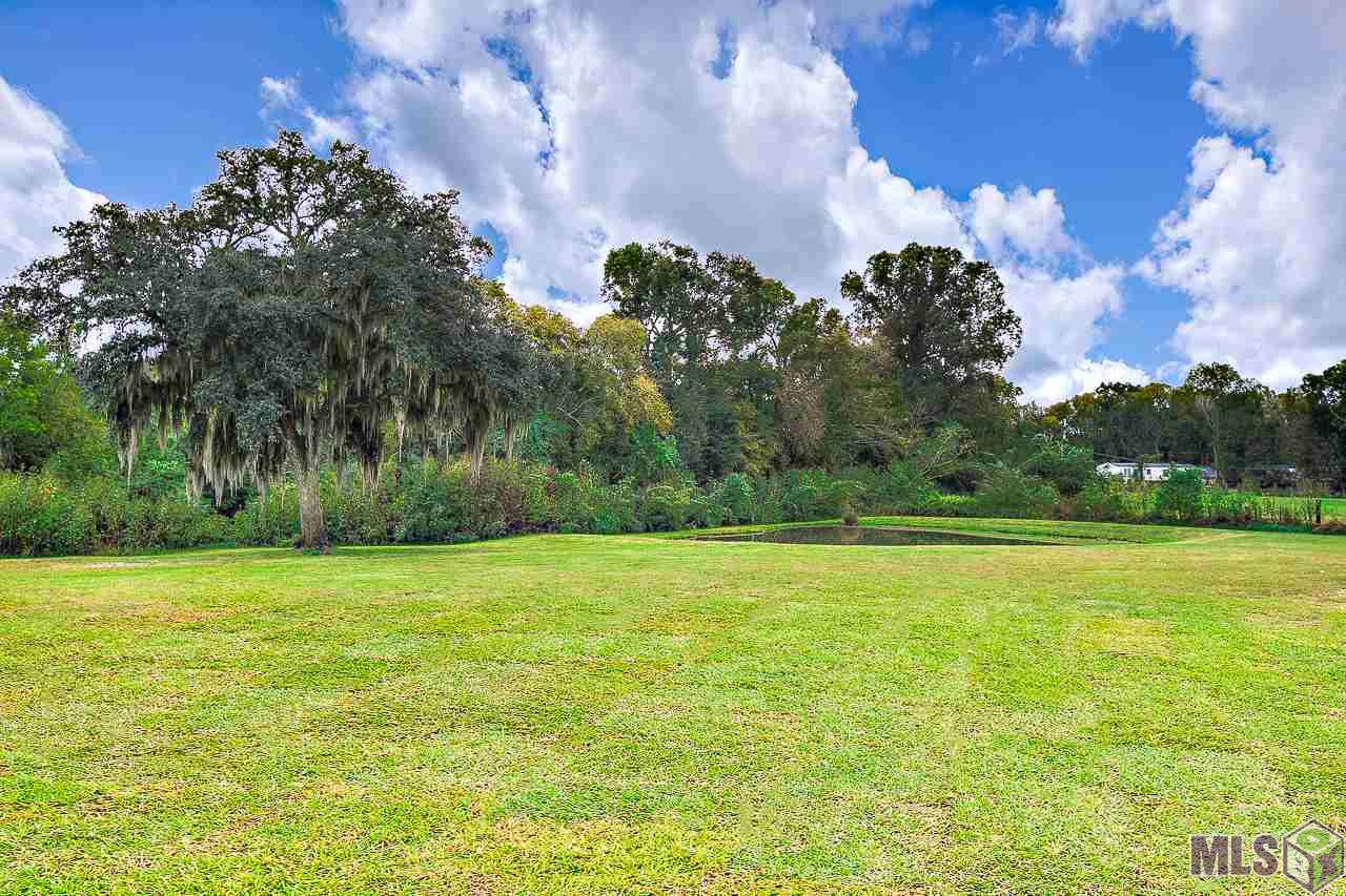 38329 Brown Road Prairieville, LA 70769 - Photo 2 of 25