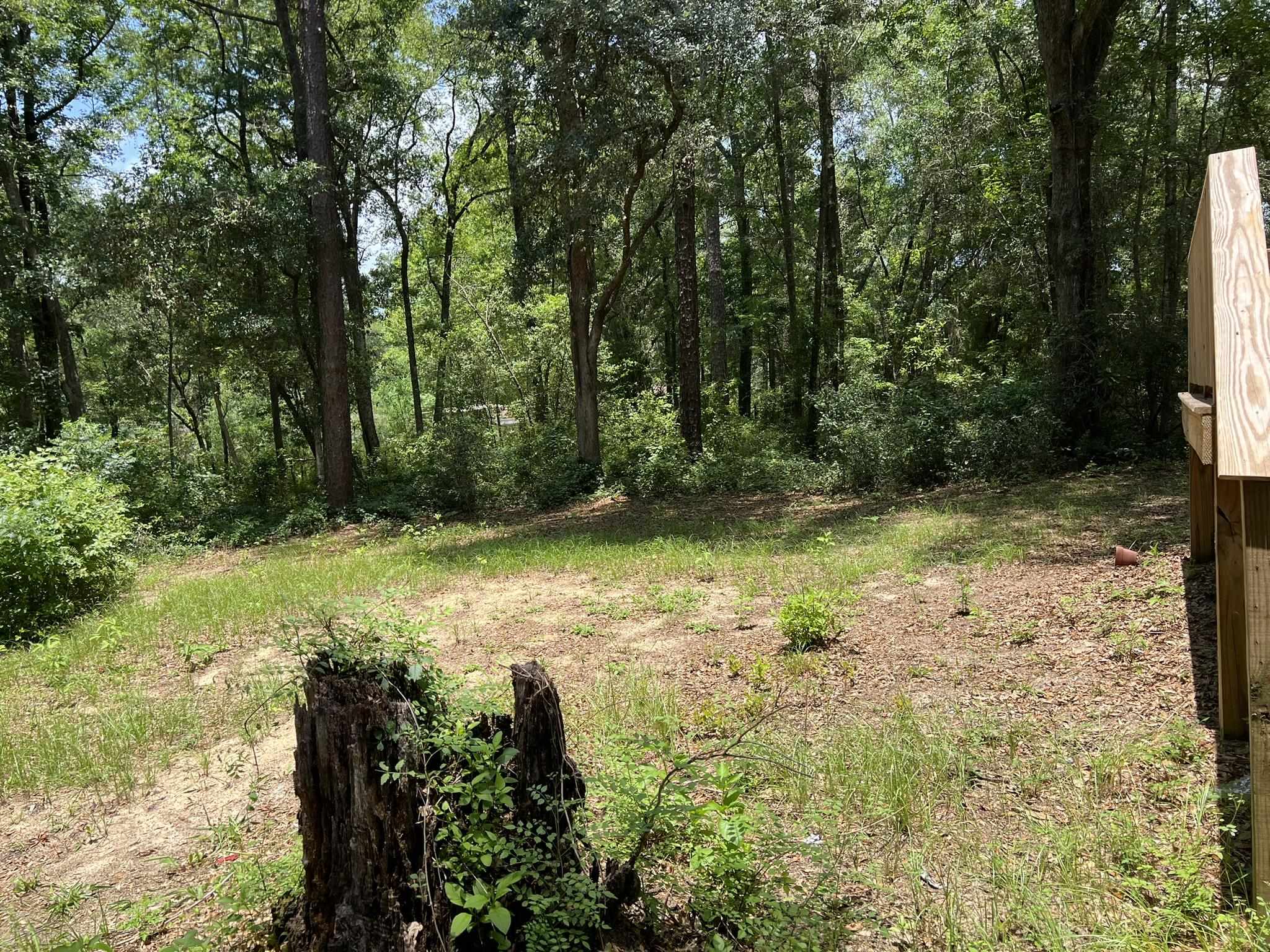8043 Baby Farm Road Tallahassee, FL 32310 - Photo 15 of 22