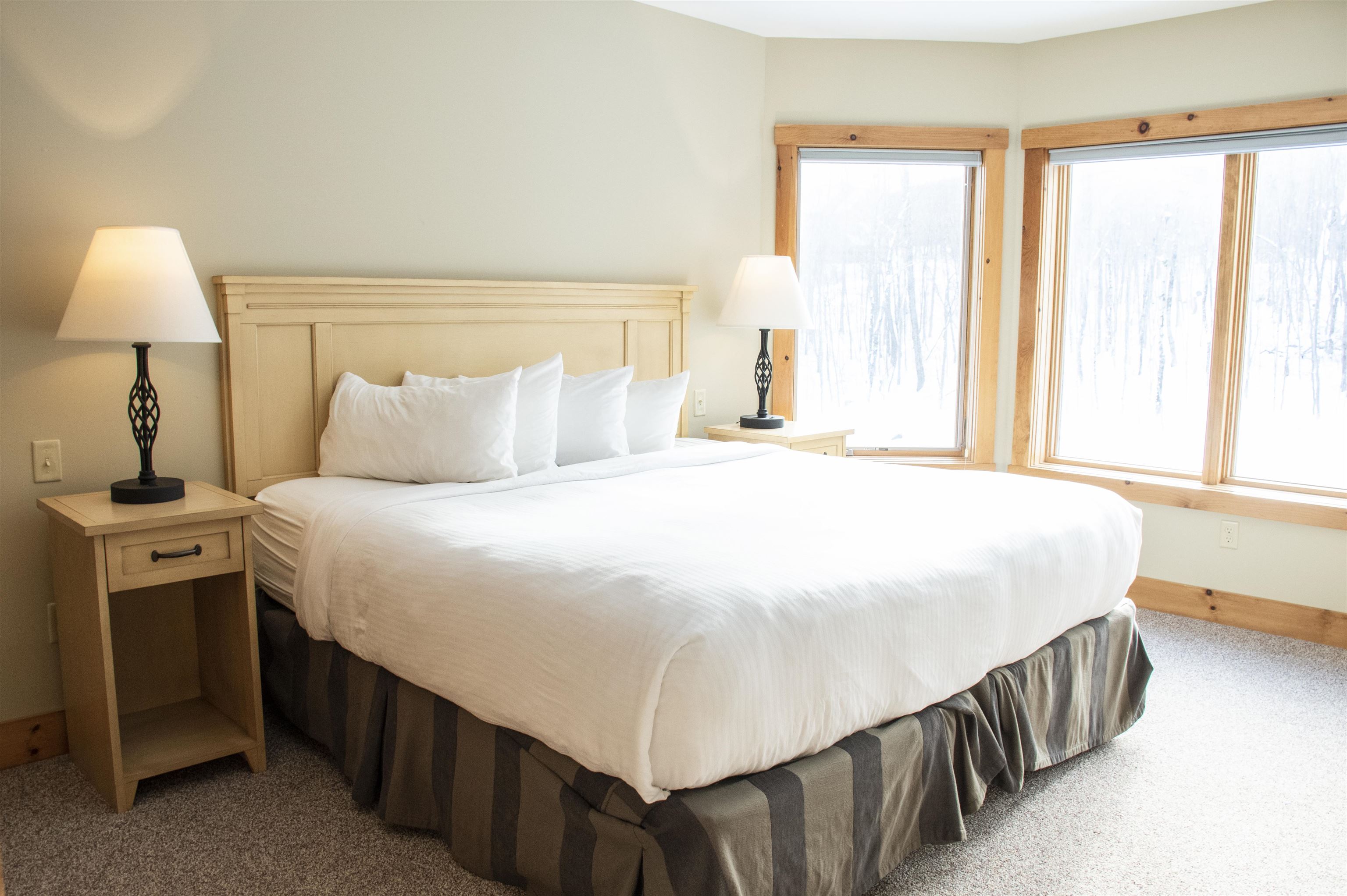 319 Jay Peak Road, Unit 4701 Jay, VT 05859 - Photo 7 of 9