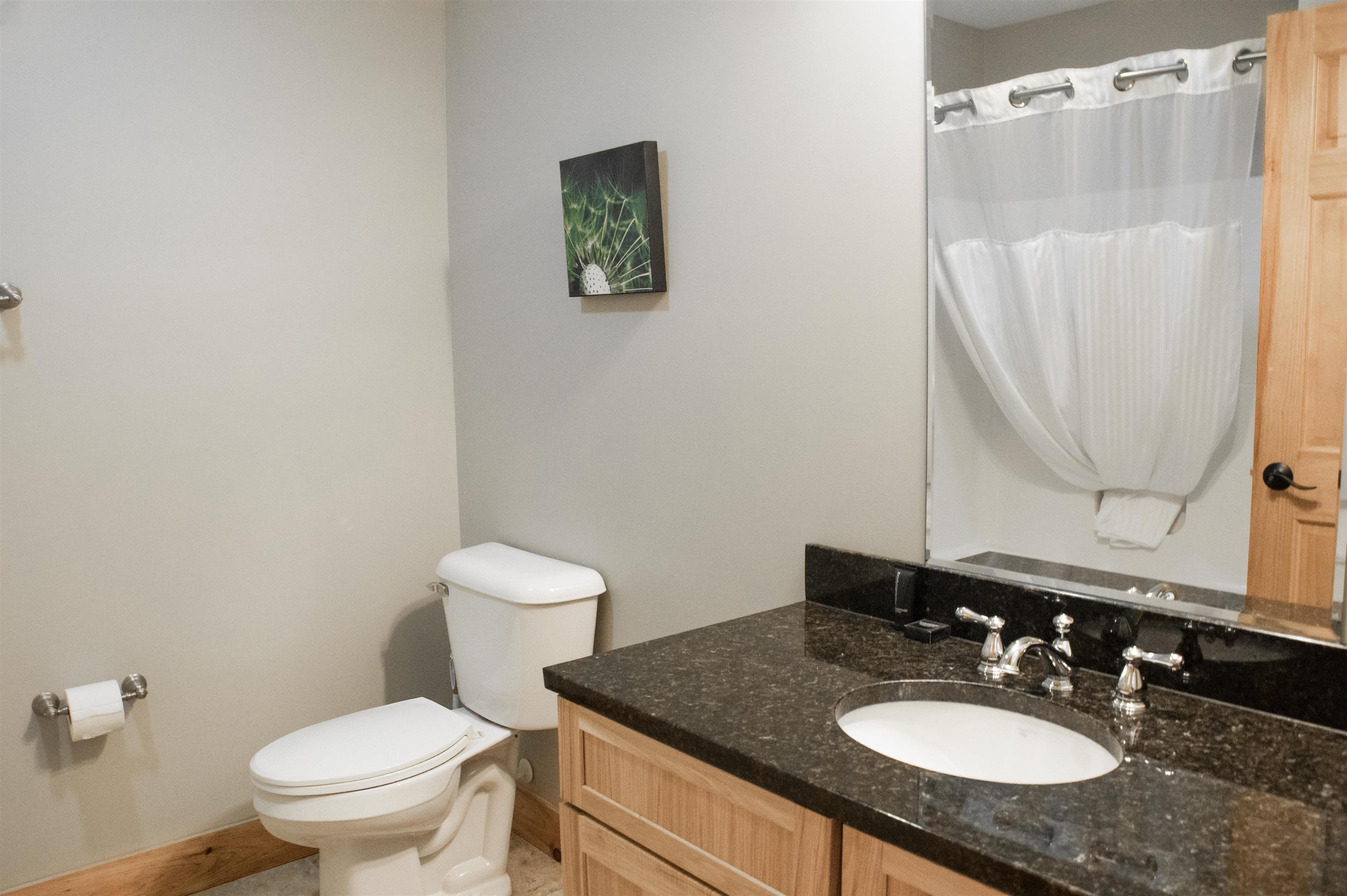 319 Jay Peak Road, Unit 4701 Jay, VT 05859 - Photo 8 of 9