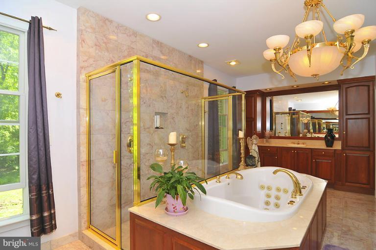 1320 St Michaels Road Mount Airy, MD 21771 - Photo 8 of 23 Bath (Master)