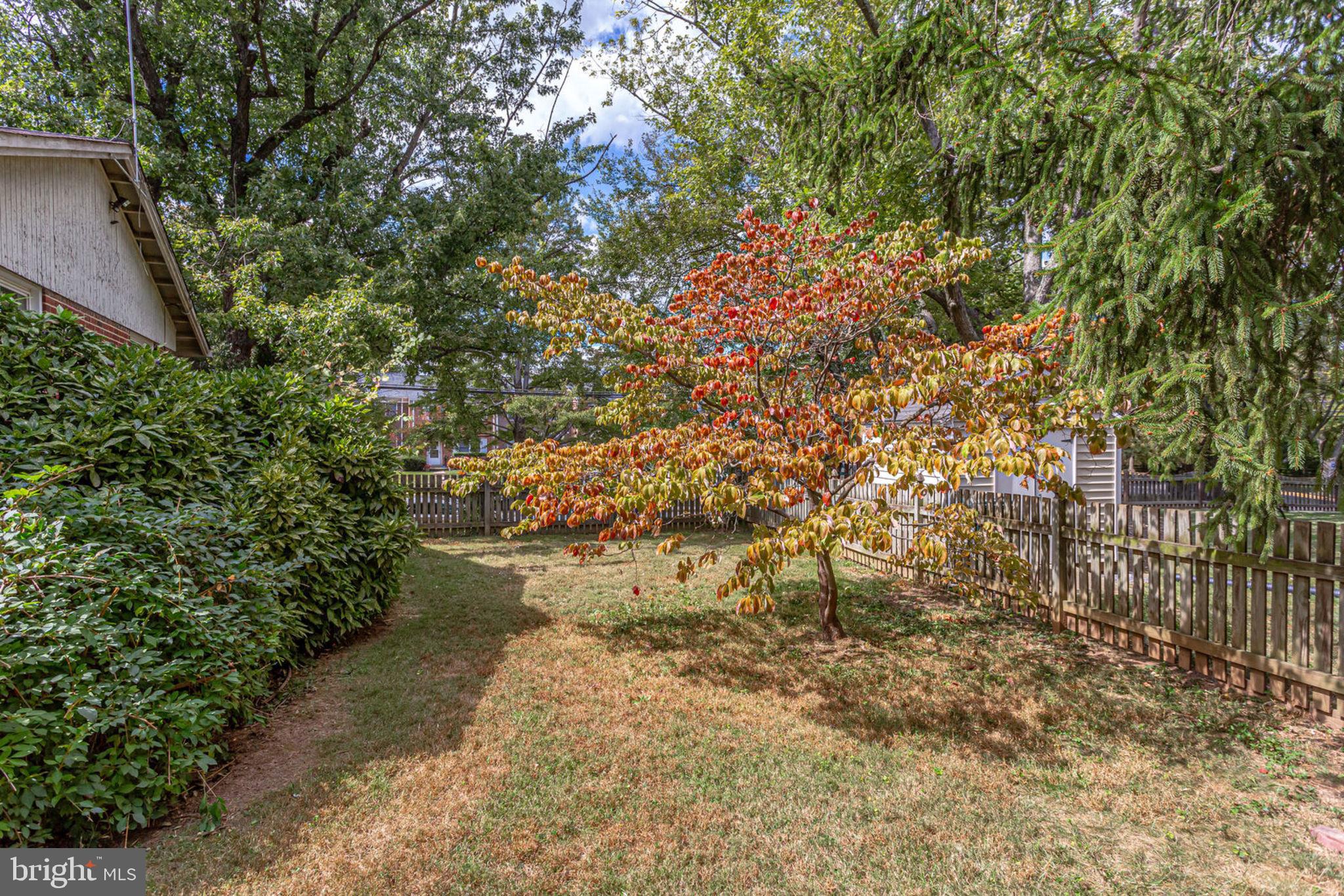 4103 Sideburn Road Fairfax, VA 22030 - Photo 43 of 54 Large fenced backyard