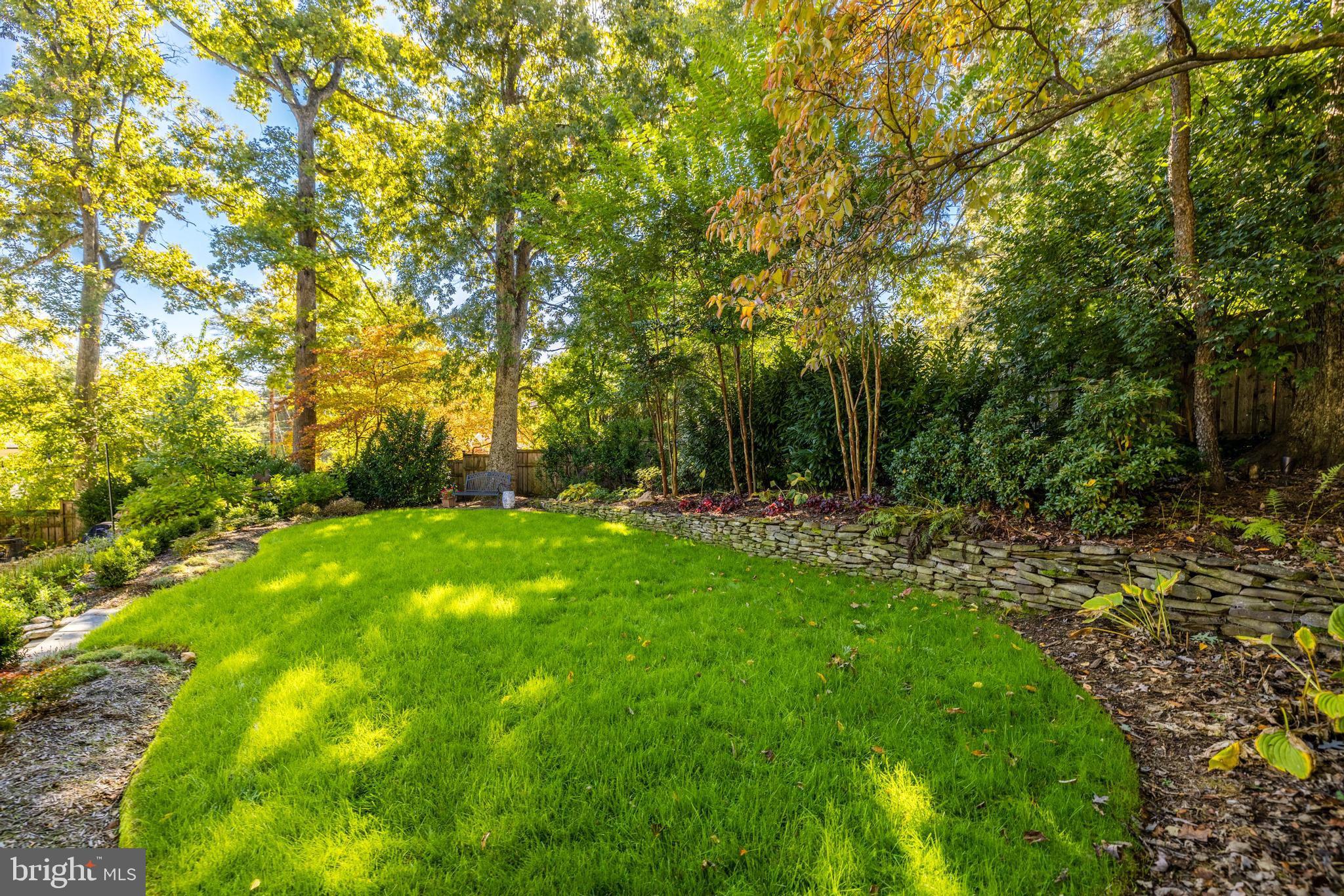 3106 Military Road Arlington, VA 22207 - Photo 53 of 66