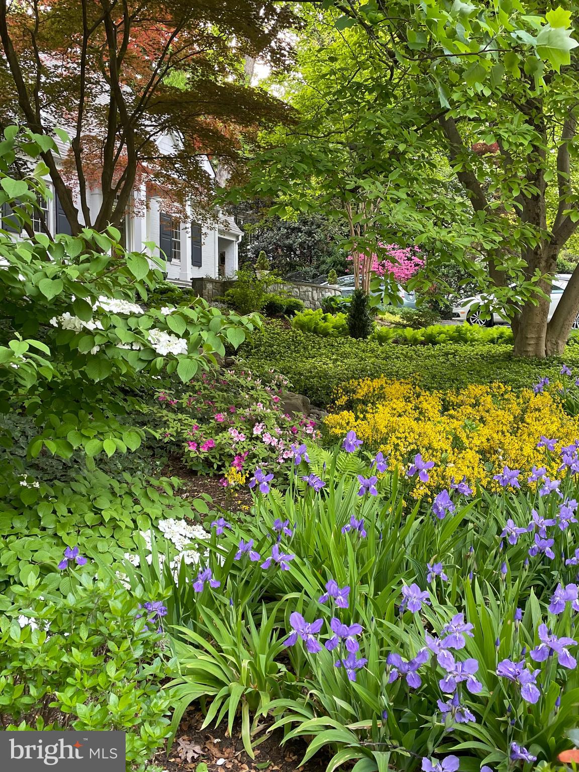 3106 Military Road Arlington, VA 22207 - Photo 63 of 66