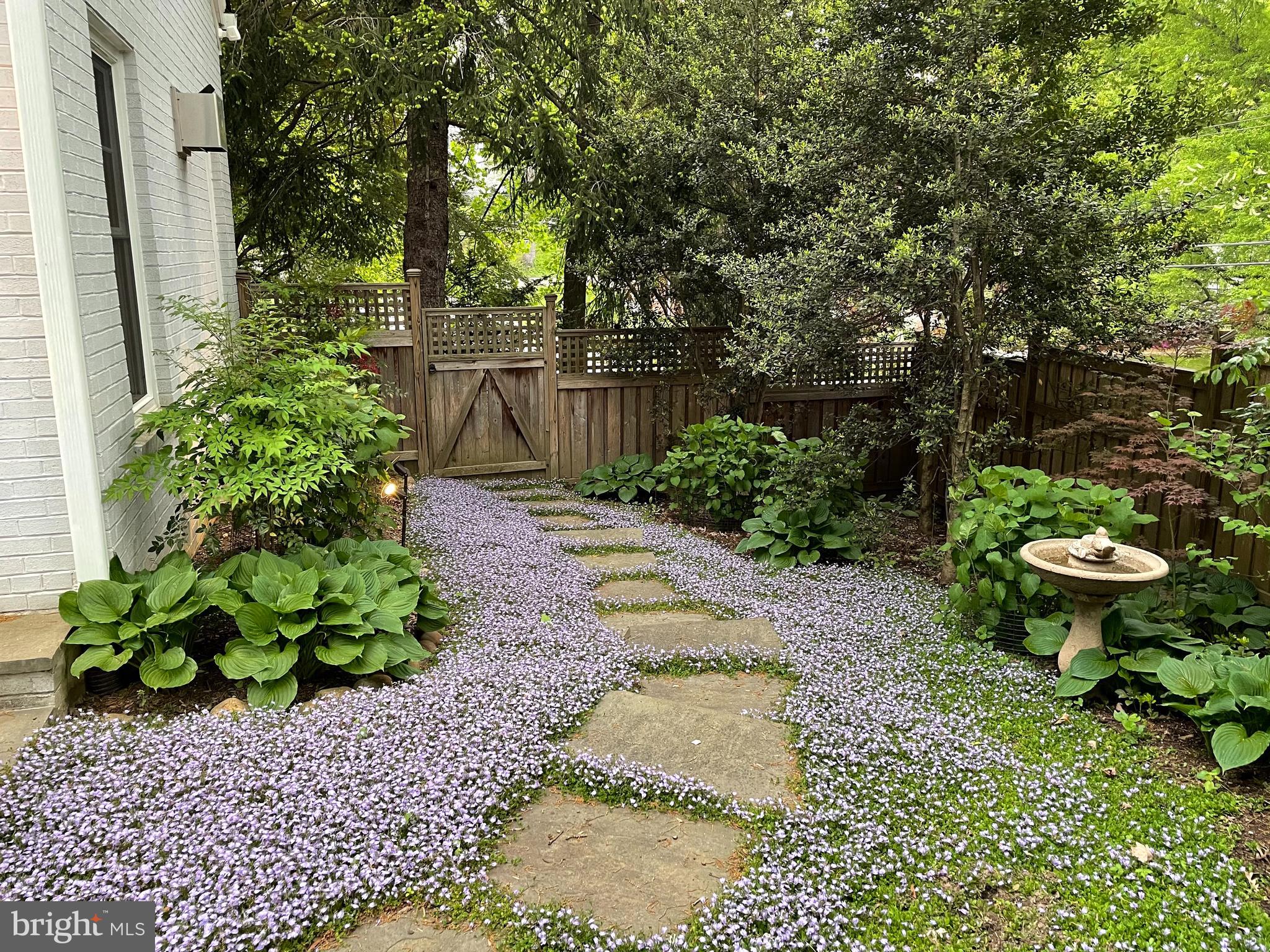 3106 Military Road Arlington, VA 22207 - Photo 66 of 66