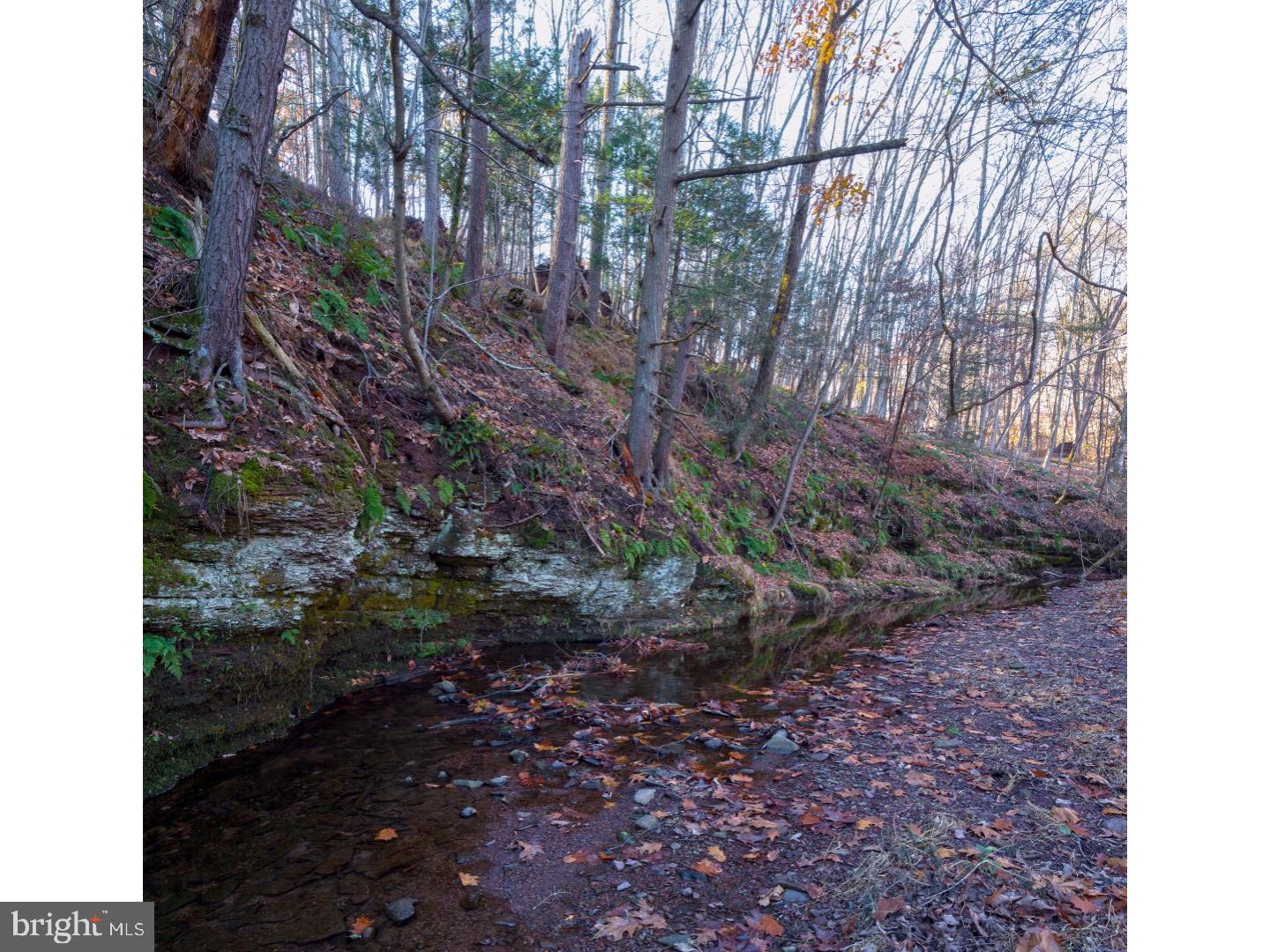 113 Geigel Hill Road Erwinna, PA 18920 - Photo 21 of 24 Nearby Park