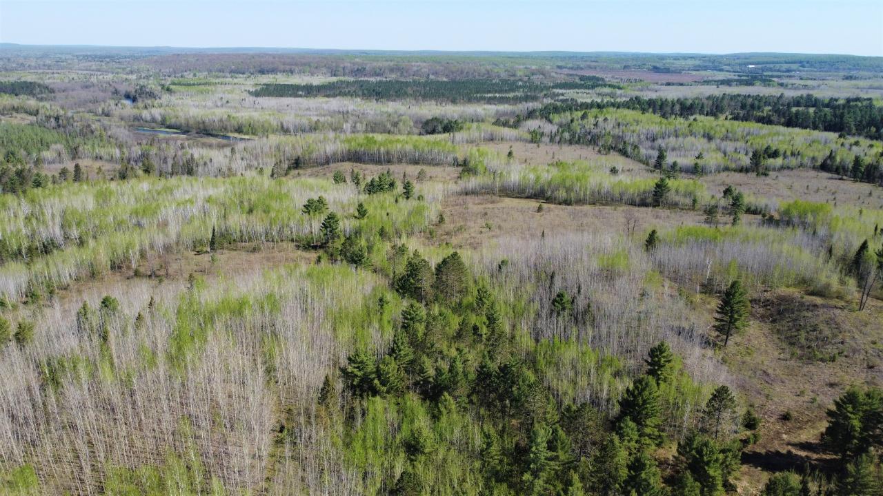 6710 Harding Road Florence, WI 54121 - Photo 16 of 90 Gallery Image 16
