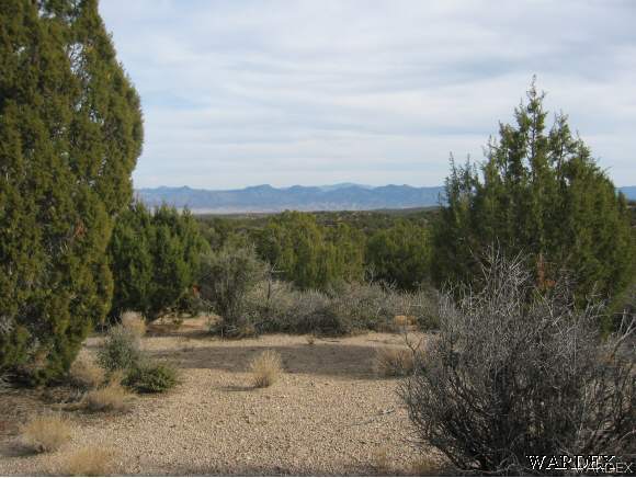 None Mountain Shadow Road Kingman, AZ 86401 - Photo 1 of 2 Gallery Image 1