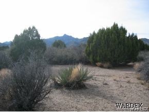 None Mountain Shadow Road Kingman, AZ 86401 - Photo 2 of 2 Gallery Image 2
