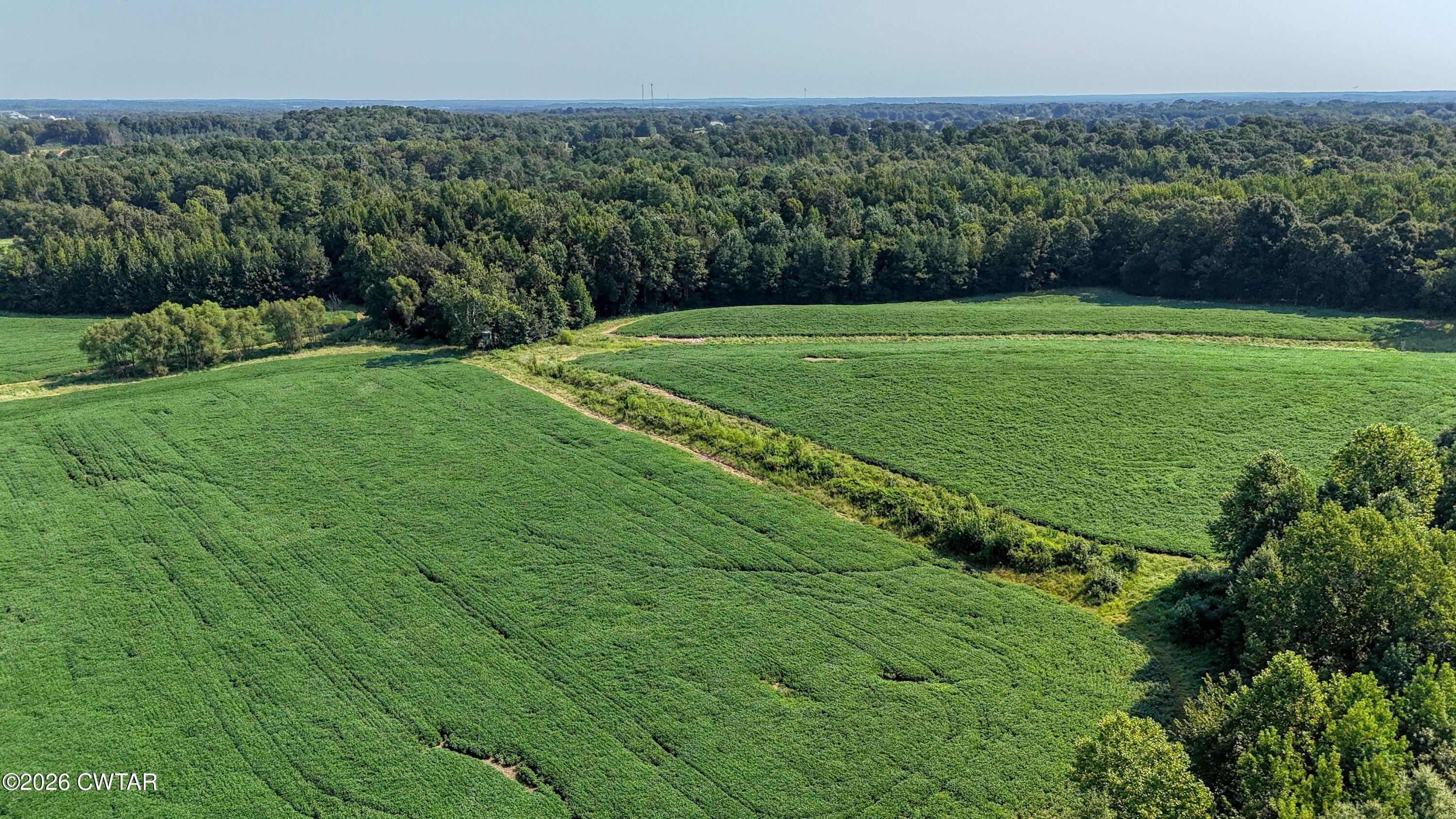 0 Finch Road Gleason, TN 38229 - Photo 13 of 25 DJI_20260811100642_0138_D