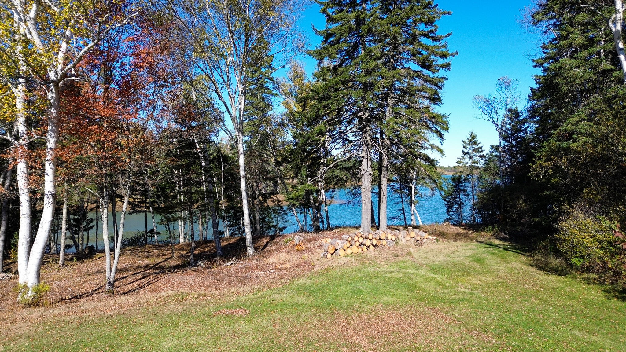 879 County Road Lubec, ME 04652 - Photo 11 of 57 17