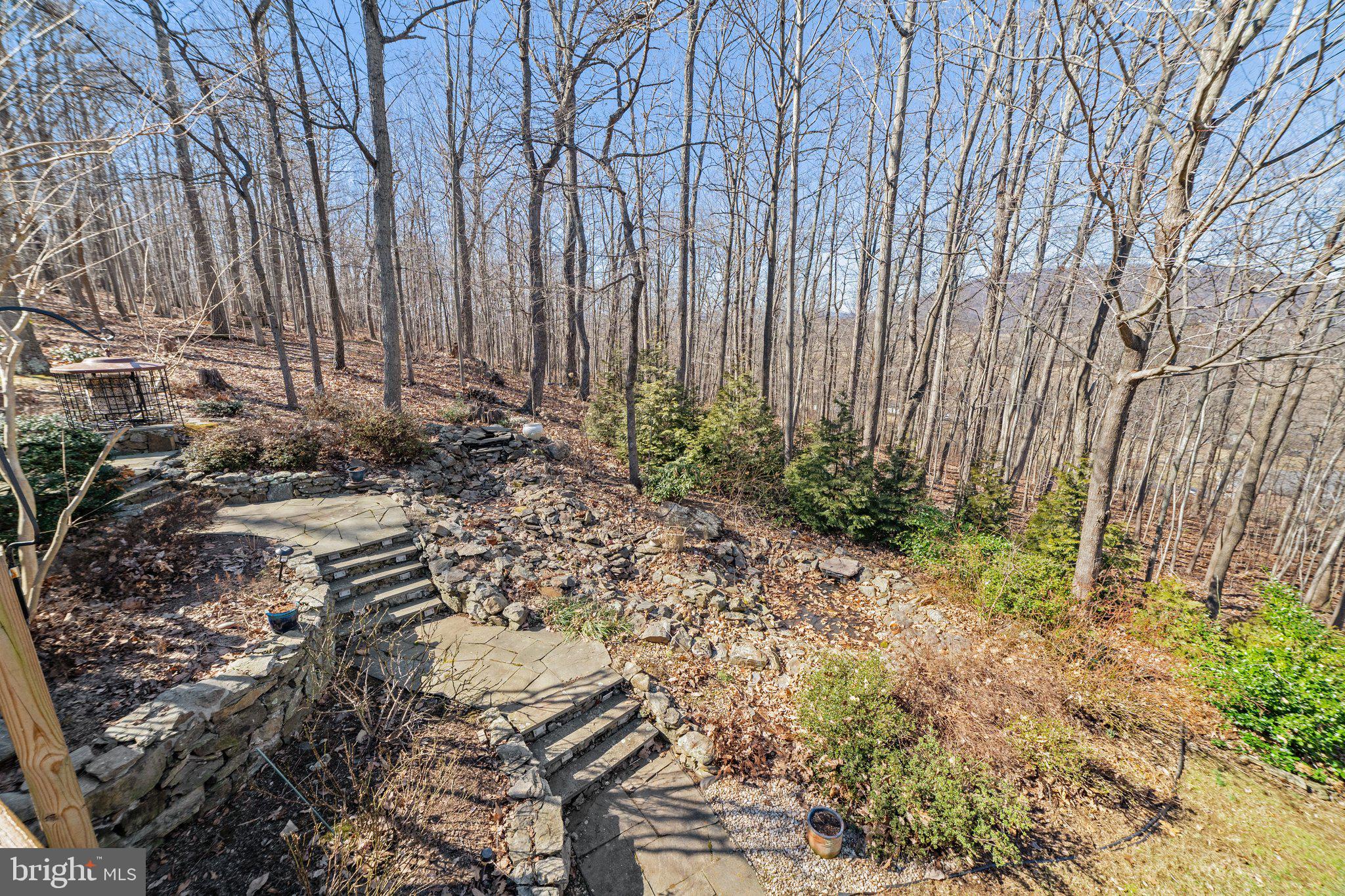 10040 Ada Road Marshall, VA 20115 - Photo 38 of 70 Extensive stone work and water feature