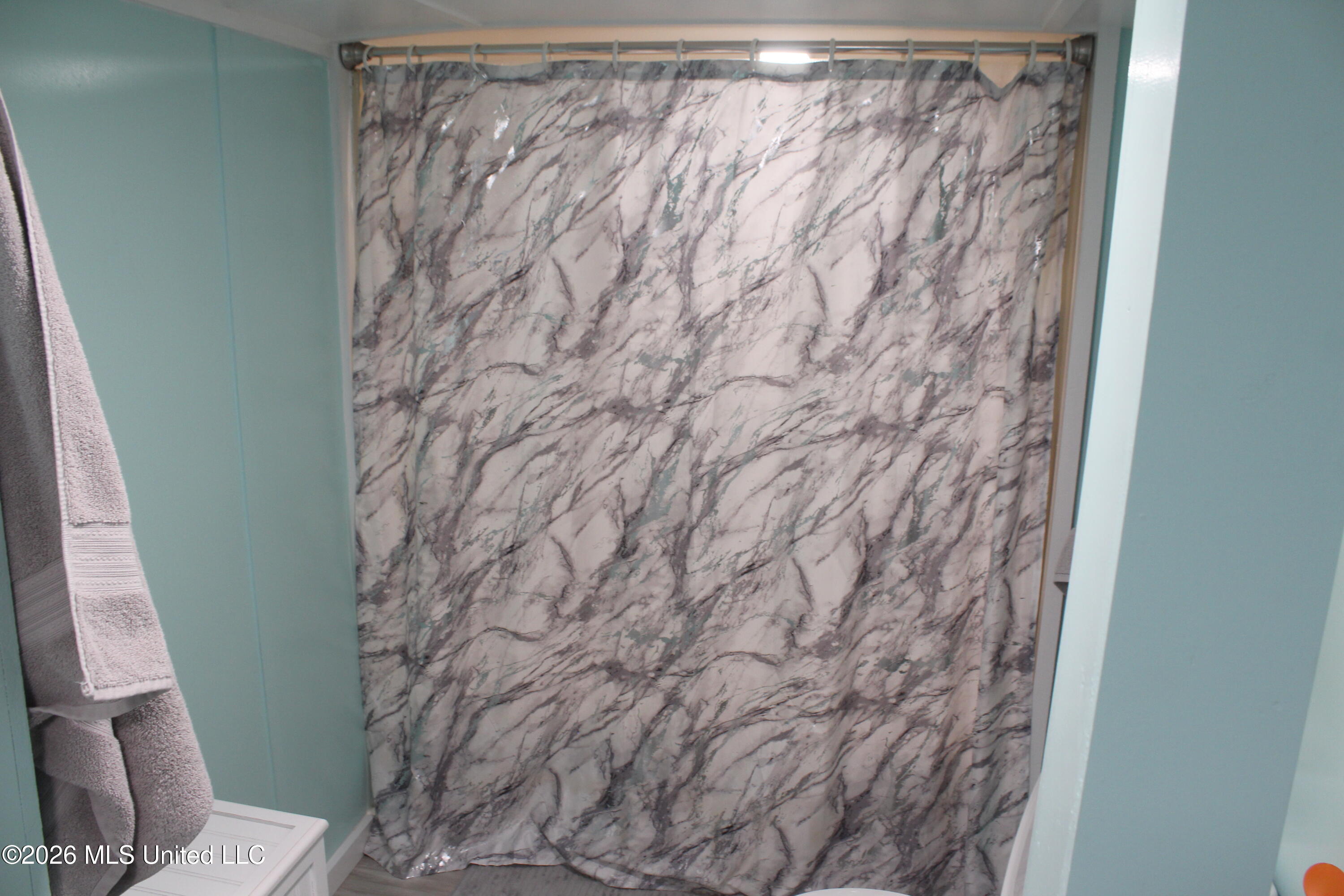 2121 Gene Road Southwest Bogue Chitto, MS 39629 - Photo 8 of 47 2121 Gene Road (9)