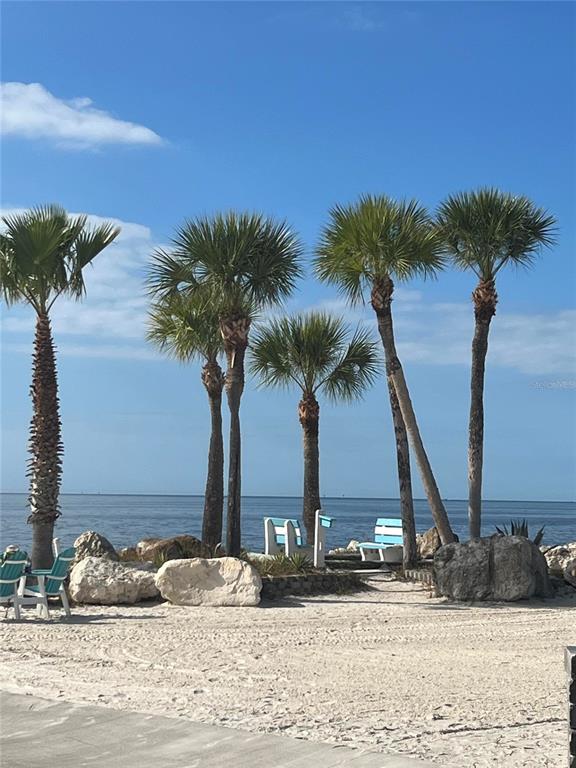 4754 Marine Parkway, Unit 202 New Port Richey, FL 34652 - Photo 16 of 16