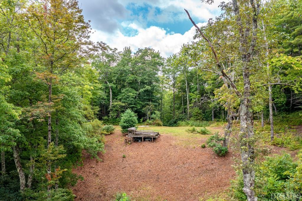 Tbd Eastern Smt Road Cashiers, NC 28717 - Photo 3 of 15 Gallery Image 3