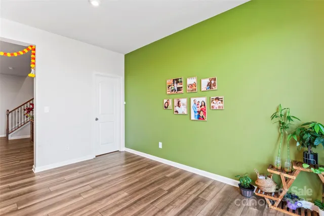 a room with green walls and a potted plant