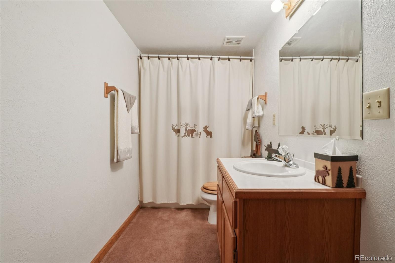 42 Catamount Ridge Road Bailey, CO 80421 - Photo 18 of 36 a bathroom with a sink a mirror and a shower