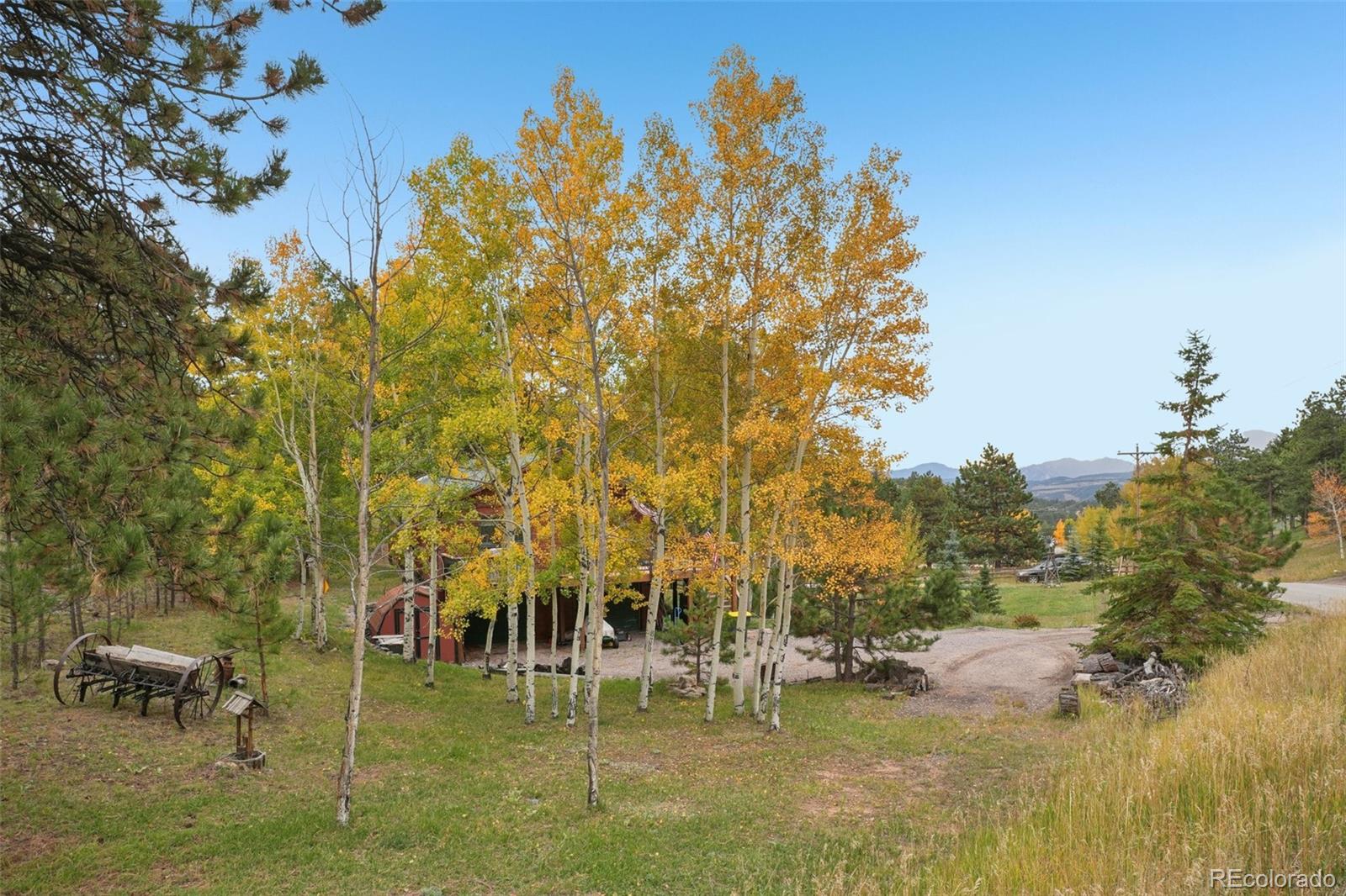42 Catamount Ridge Road Bailey, CO 80421 - Photo 28 of 36 a view of a park with large trees