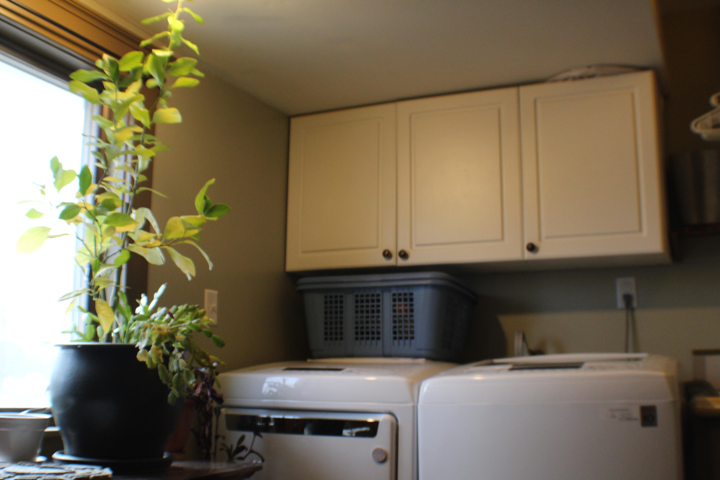 347 West Jenks Road Fenwick, MI 48834 - Photo 13 of 63 IMG_3075
