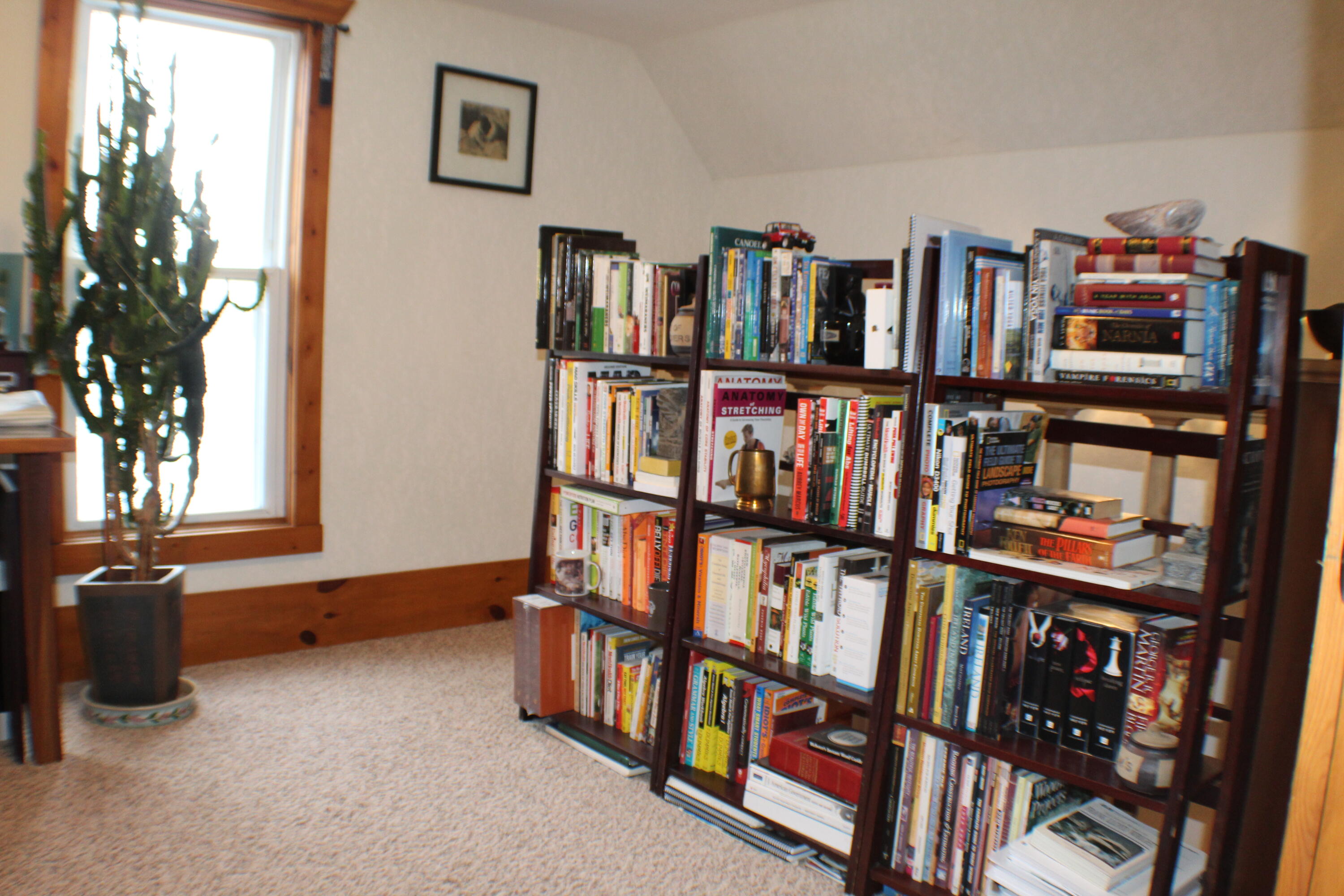 347 West Jenks Road Fenwick, MI 48834 - Photo 39 of 63 IMG_3146