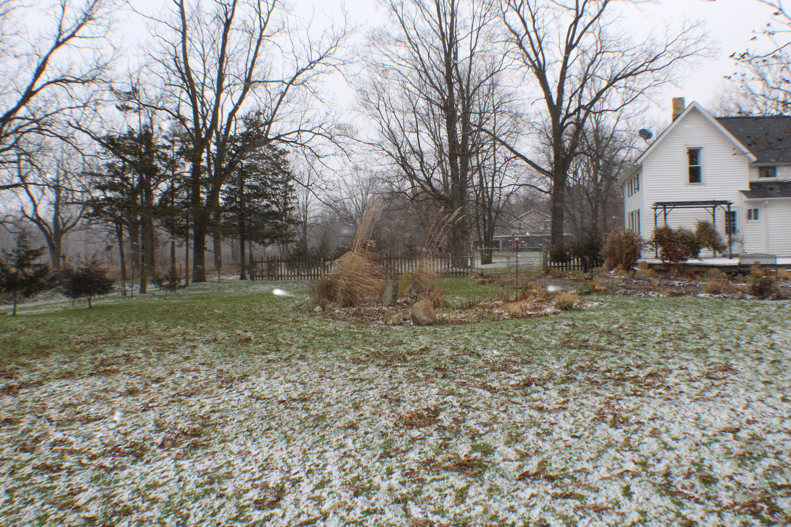 347 West Jenks Road Fenwick, MI 48834 - Photo 60 of 63 IMG_3173