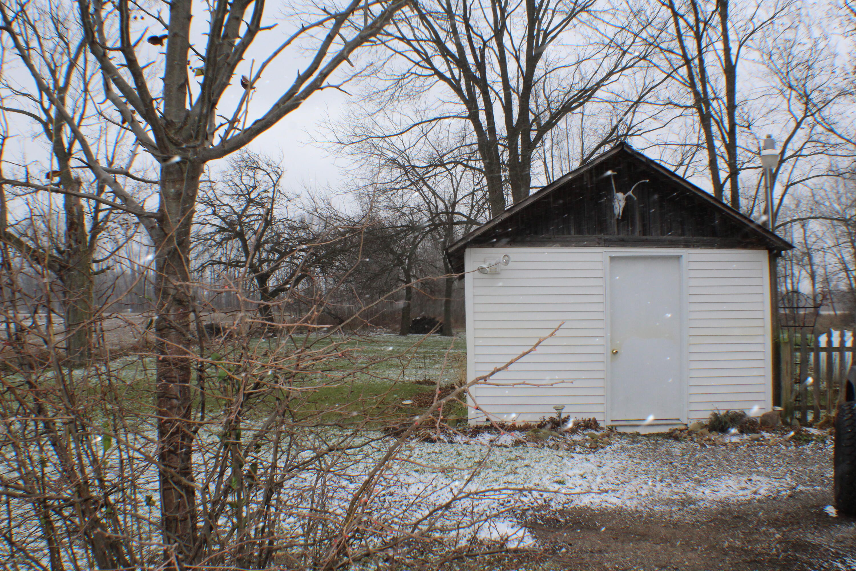 347 West Jenks Road Fenwick, MI 48834 - Photo 61 of 63 IMG_3164